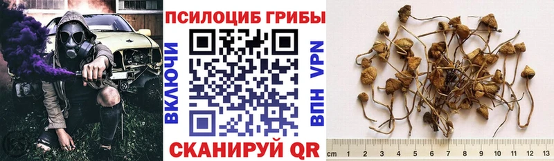 блэк спрут онион  Трёхгорный  Галлюциногенные грибы ЛСД 